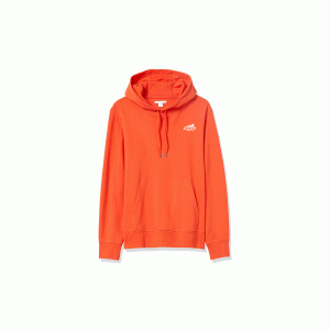 v2